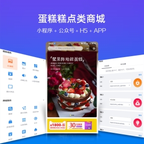 SaaS整站源码交付 智慧门店小程序订蛋糕 糕点微信小程序、app、H5、PC商城、微信公众号 商城安装服务 8800元